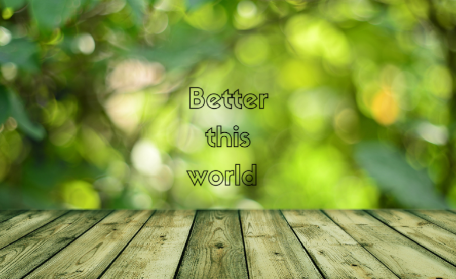 Potential Drawbacks And Criticisms of BetterThisWorld.com