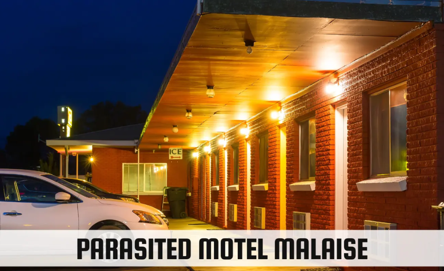 parasited motel malaise