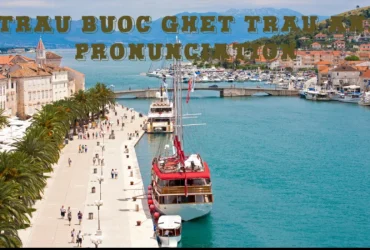 Trau buoc ghet trau an. pronunciation