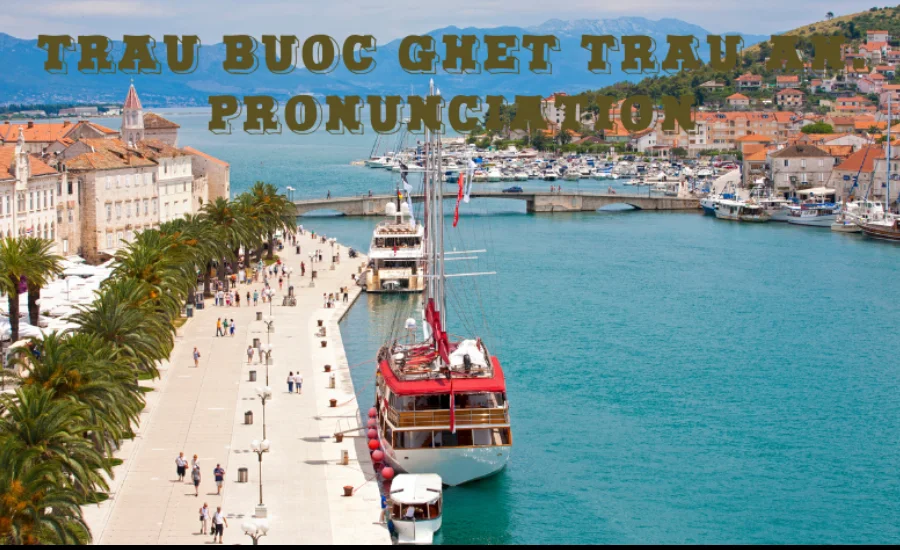 Trau buoc ghet trau an. pronunciation